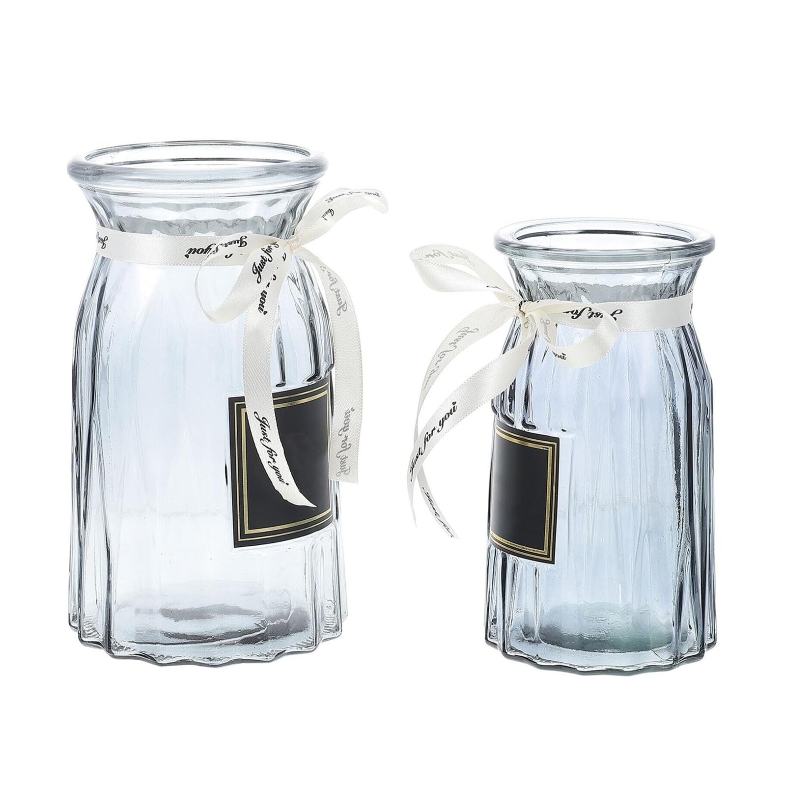 Modern Farmhouse Decor 2pcs Glass Flower Vase Set Desktop Arrangement Containers Water Hydroponic Vases Gifts for Couples