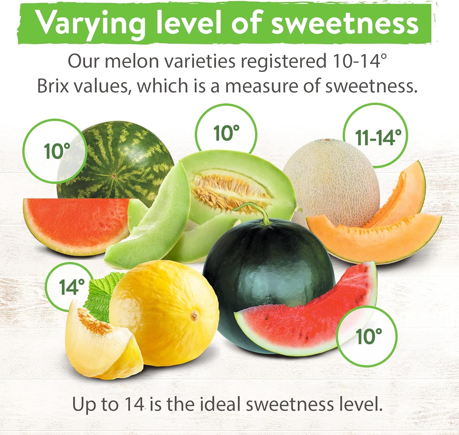 Paquete variado de semillas de melón, 5 semillas de frutas tradicionales: sandía, melón, melón, azúcar bebé y melón, alta germinación para plantar el jardín en interiores 4