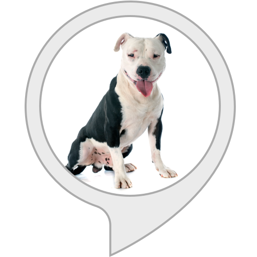 Guard Dog Barking Alexa Skills