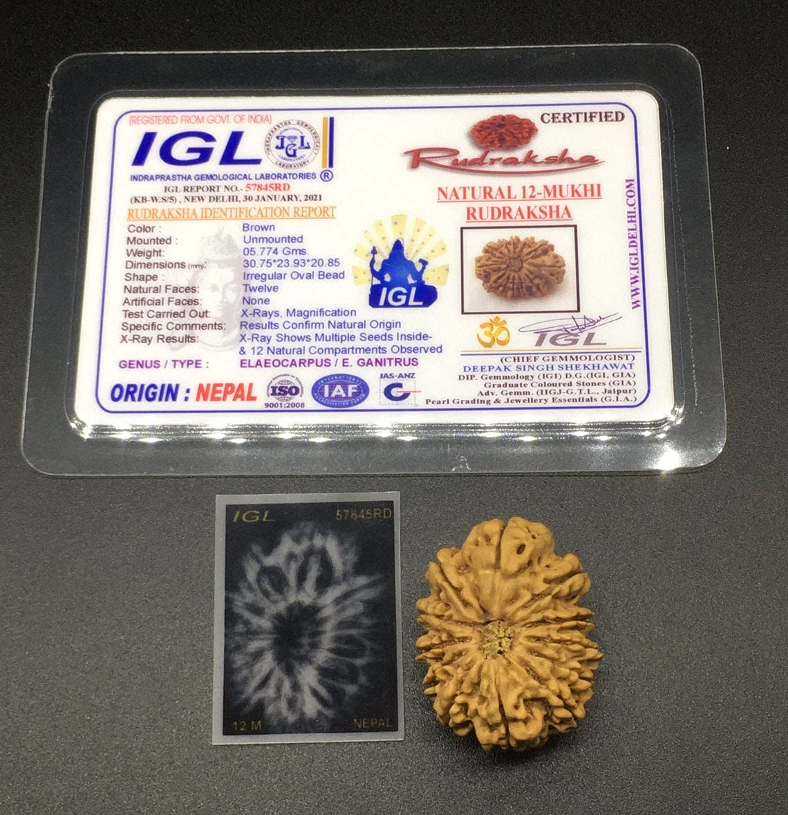 Perles Rudraksha Mukhi Népal lot de 12 graines robustes anti usure 30,75mm