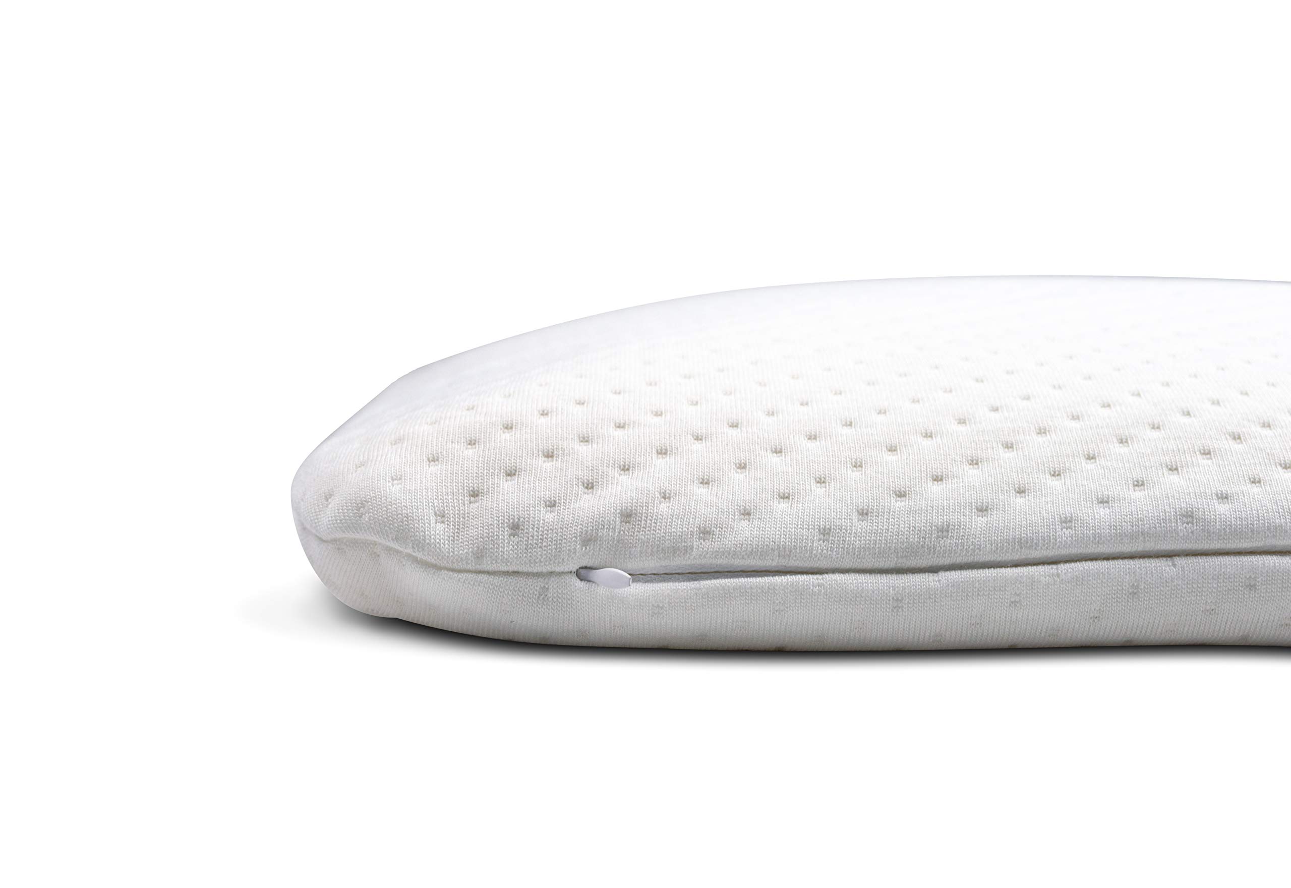 Buy DC Labs Slim Sleeper Natural Latex Foam Pillow, Thin, Ventilated