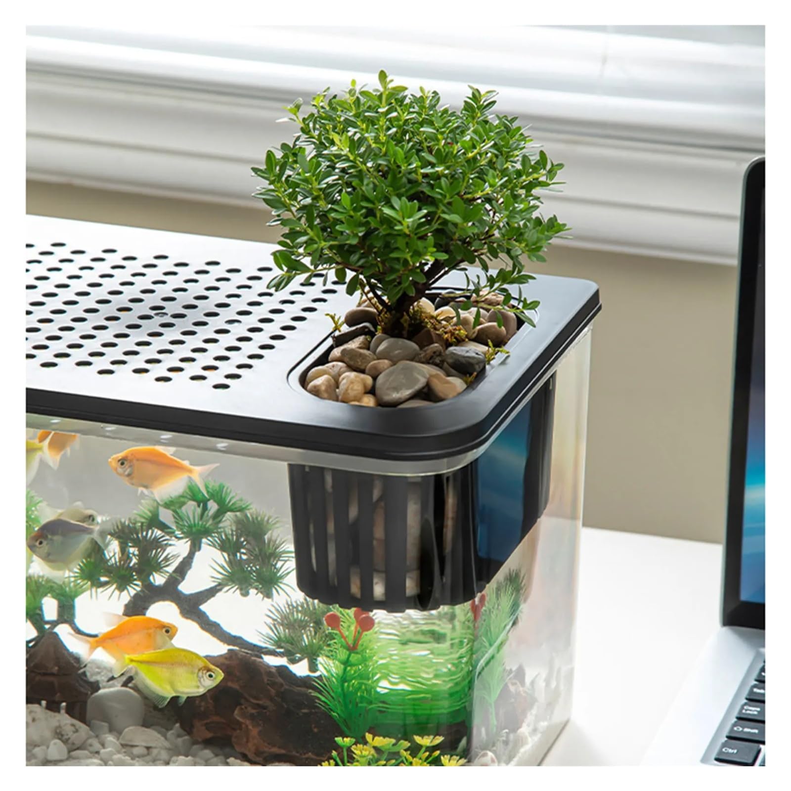 Genérico Caja cría Transparente Reptiles pequeños Animales acuáticos | Tanque transparente for alimentación y crianza de hogares temporales for pequeños terrarios y criaturas acuáticas.(Black Lid)