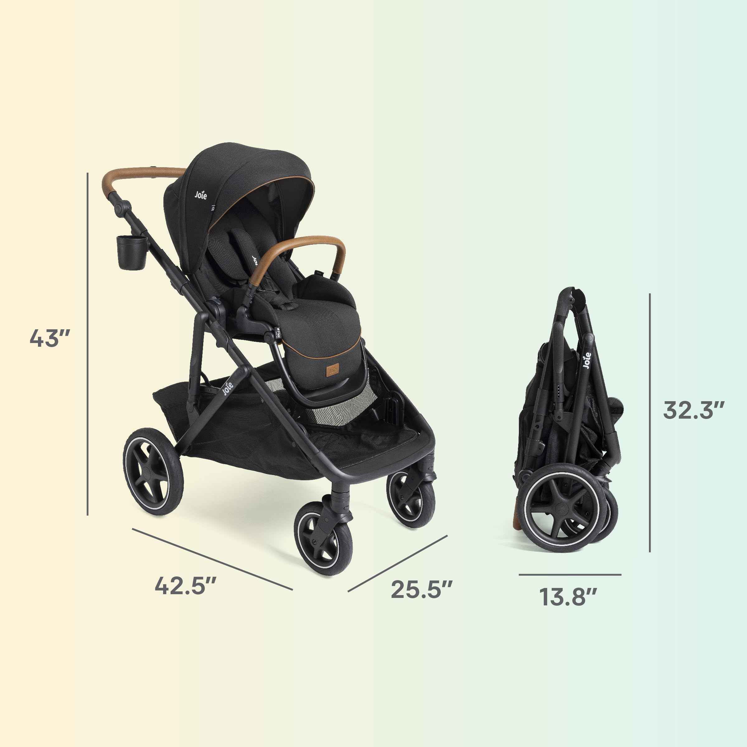 Amazon.com : Joie Baby, Chive and Rue - All-in-One Convertible