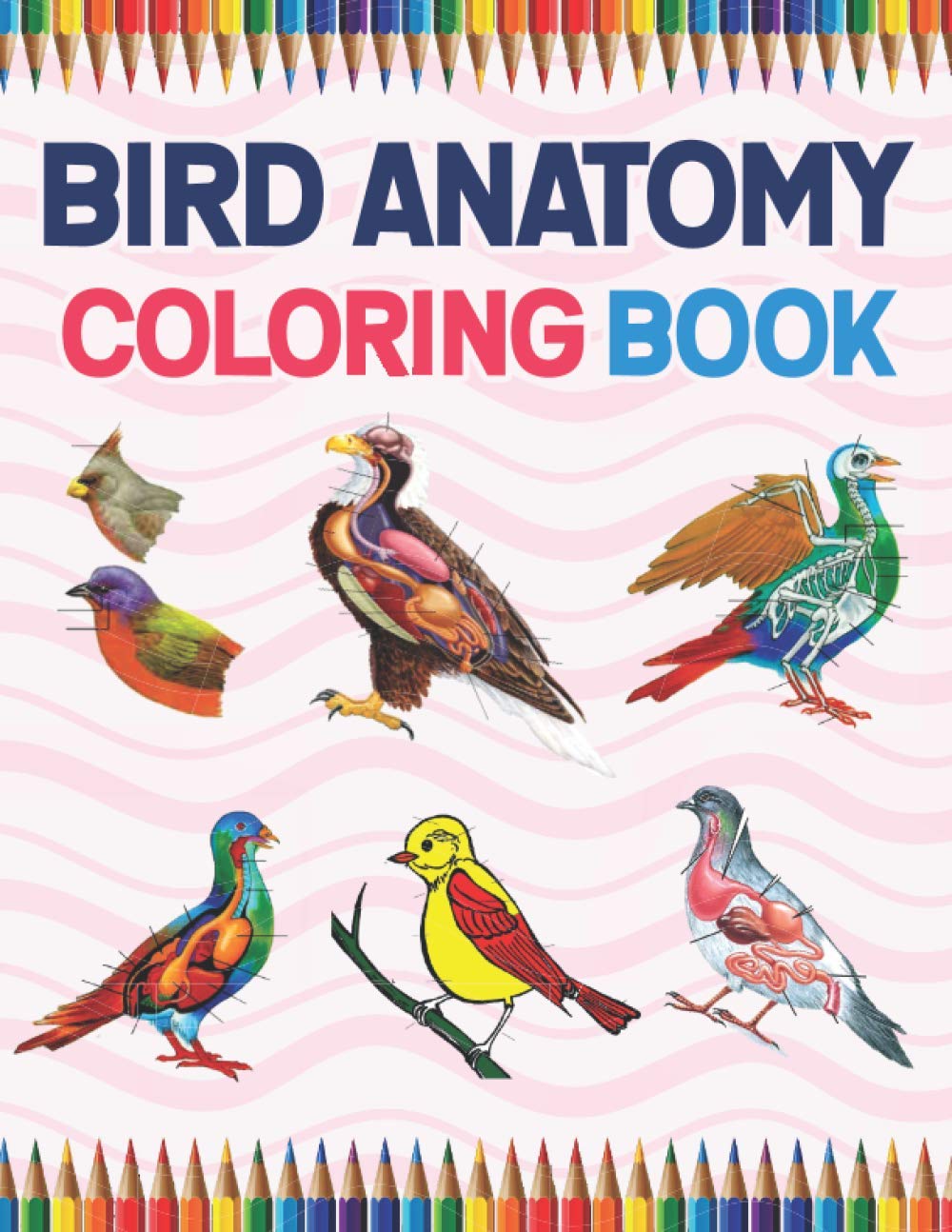 Bird Anatomy Coloring Book: Ornithology Coloring Book for Ornithologist. Bird Anatomy Coloring Book for Kids & Adults. The New Surprising Magnificent ... Anatomy & Physiology Coloring book.