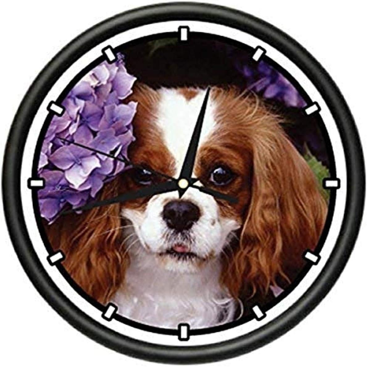 SignMission King Charles Spaniel Wall Clock Dog pet Dogs Puppy
