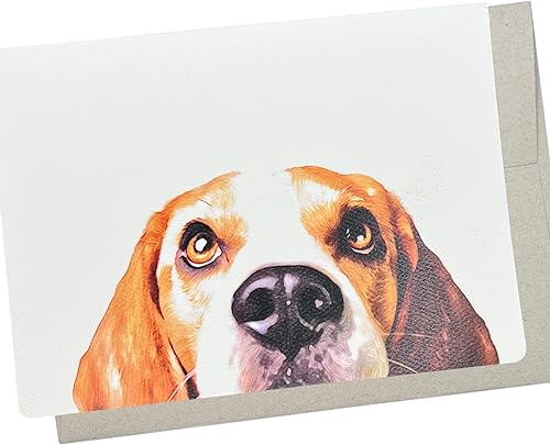 Beagle Looking Up - Tarjeta de felicitación (7 x 5 pulgadas, 1 tarjeta, interior en blanco) para cumpleaños, buenos deseos, pensando en ti o incluso