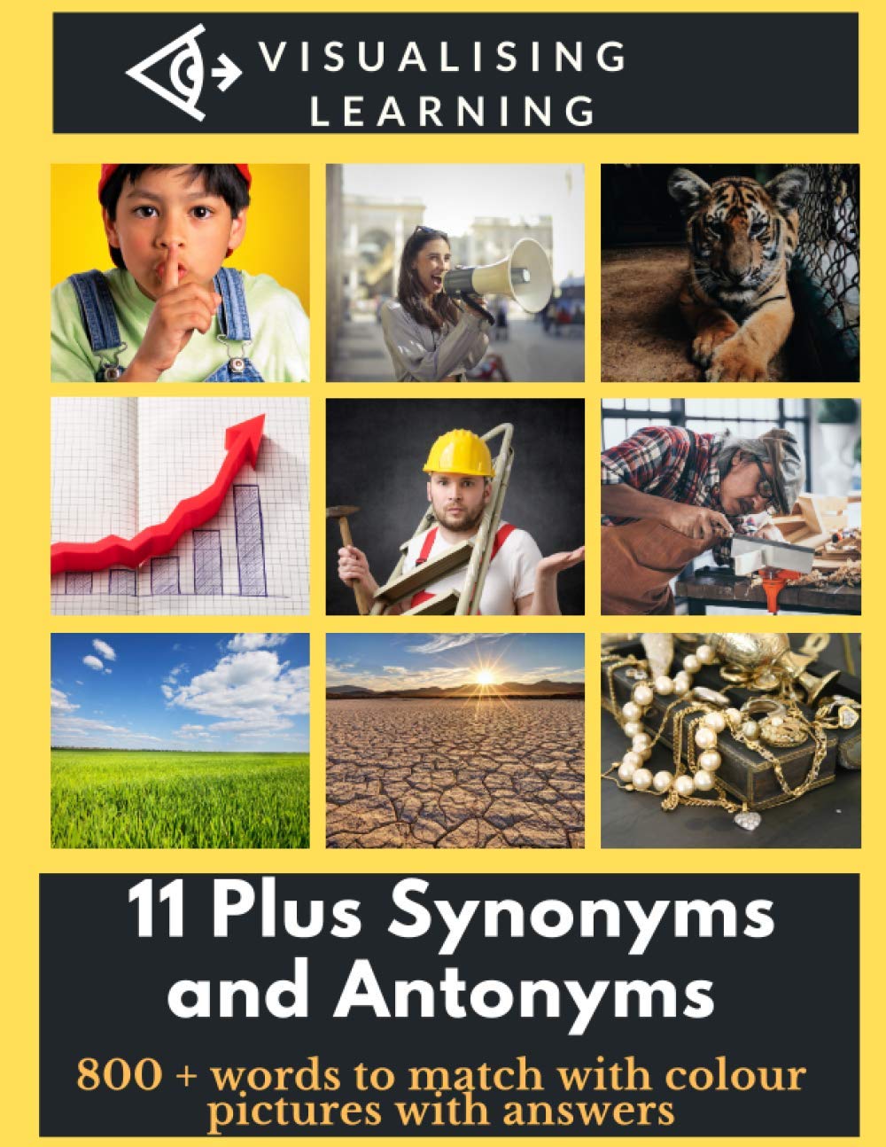 11 Plus Synonyms and Antonyms: 800 + words to match with colour pictures. Answers included.