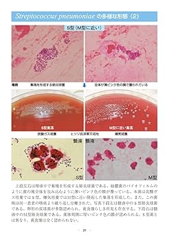 獣医感染症カラーアトラス 第2版 獣医感染症カラーアトラス 第2版 | 見上 彪 |本 | 通販 | Amazon