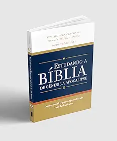 Estudando a Bíblia de Gênesis a Apocalipse : Um guia completo para compreender cada livro das Escritura | Editora Penkal | Guia Completo de Estudo Bíblico, Capa Flexível, 302 Páginas, Português