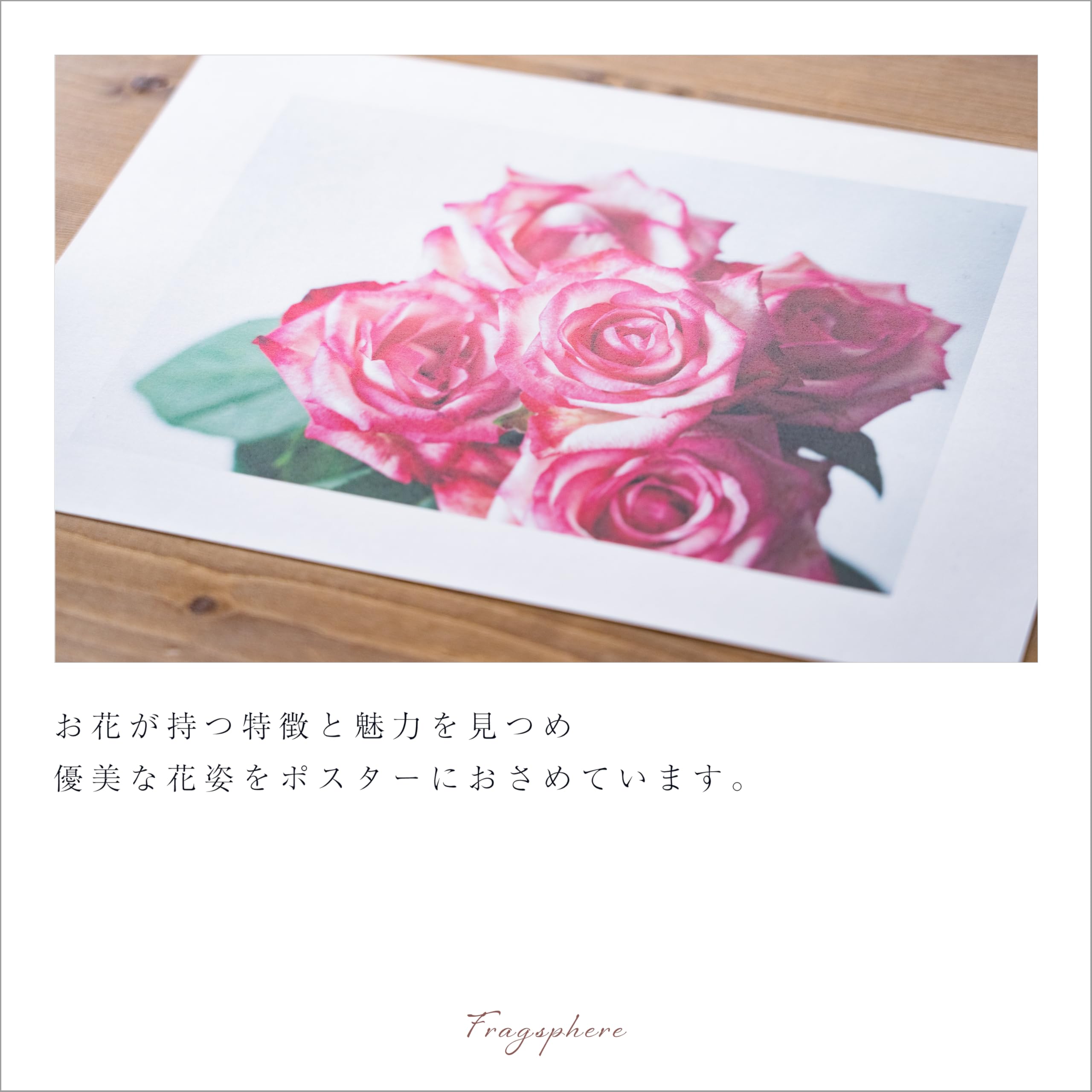 Amazon.co.jp: Fragsphere 日常を彩る 花のポスター HANASUGATA