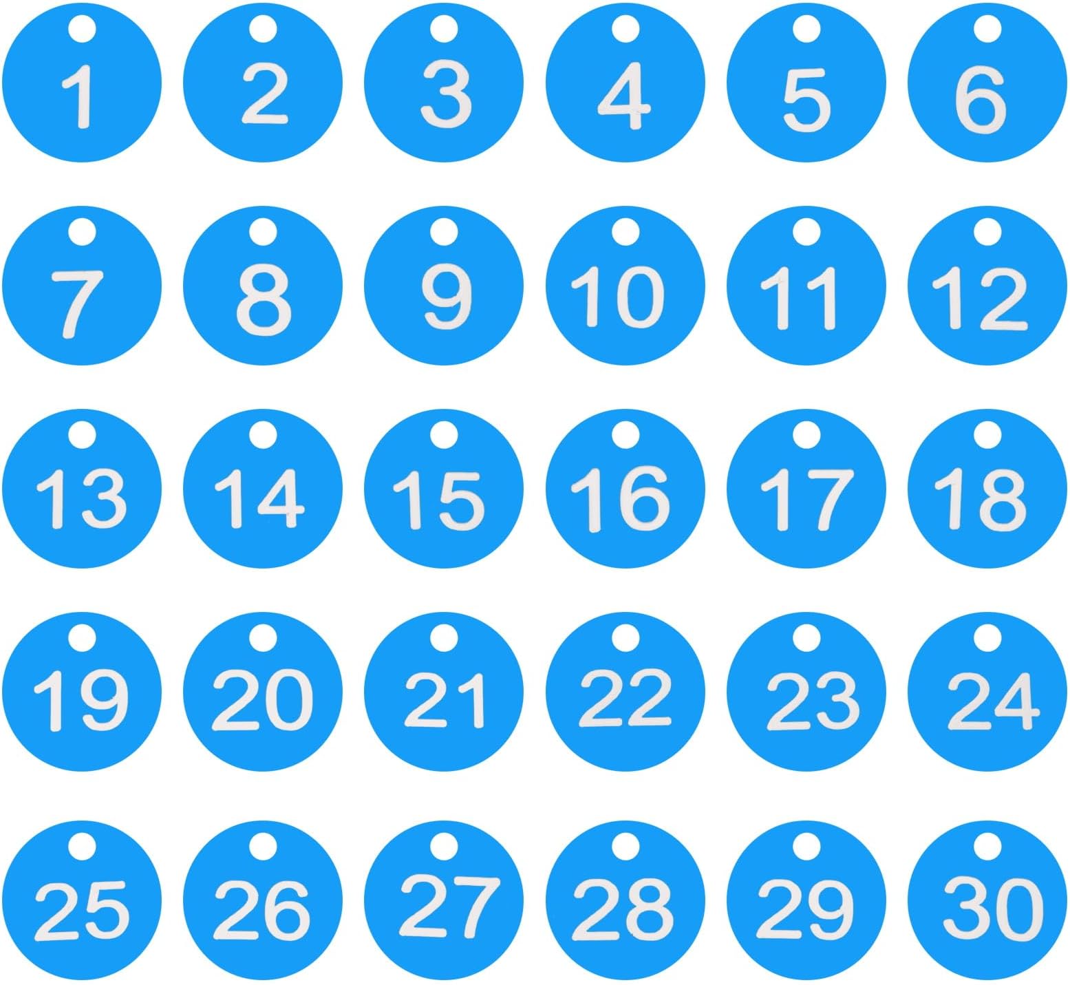 PATIKIL 1-30 Numbers Tags Plastic Round Numbered Marking Identify ID Key Hang Tag for Dormitory Key Chain Box Gym Cabinet Lockers, Light Blue with White Text