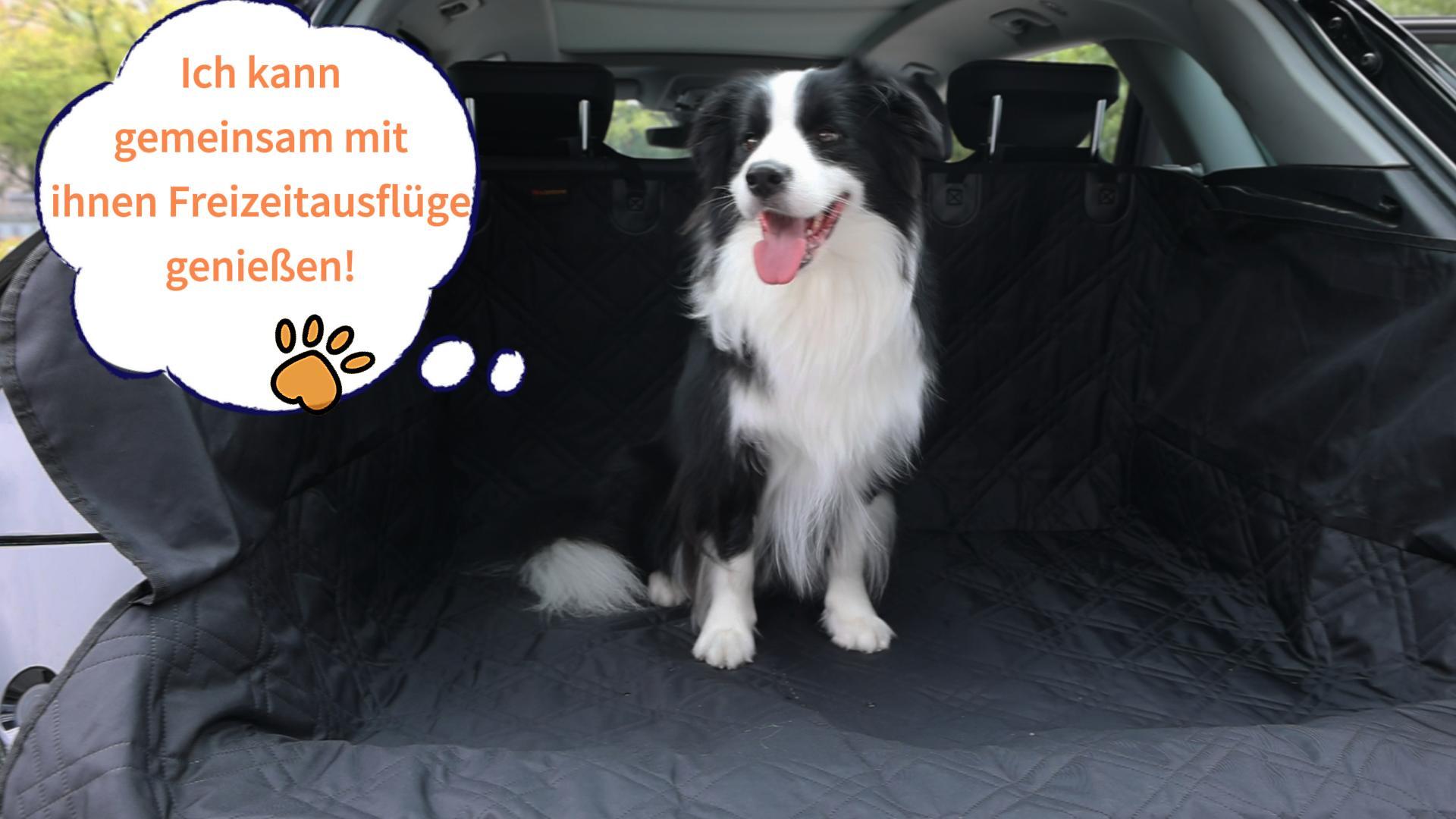 PetGear Kofferraum-Schutzdecke Für Hunde – Wasserabweisend, Waschbar, 36 X 30 X 12 Cm, Für Sauberen Auto-Kofferraum