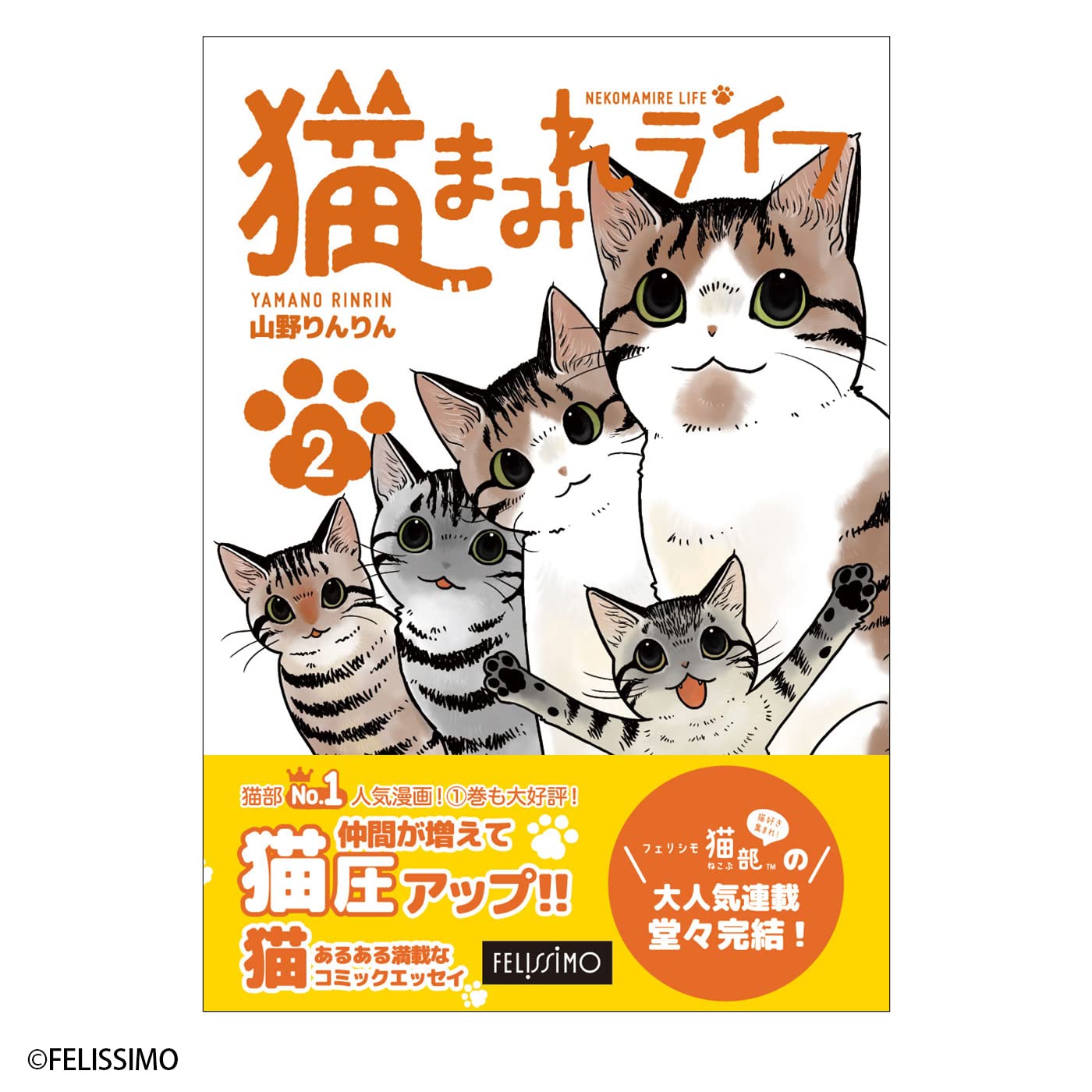 荒れ地のねこ にゃんこ最強道 (@noraneko8390) • Instagram photos and videos