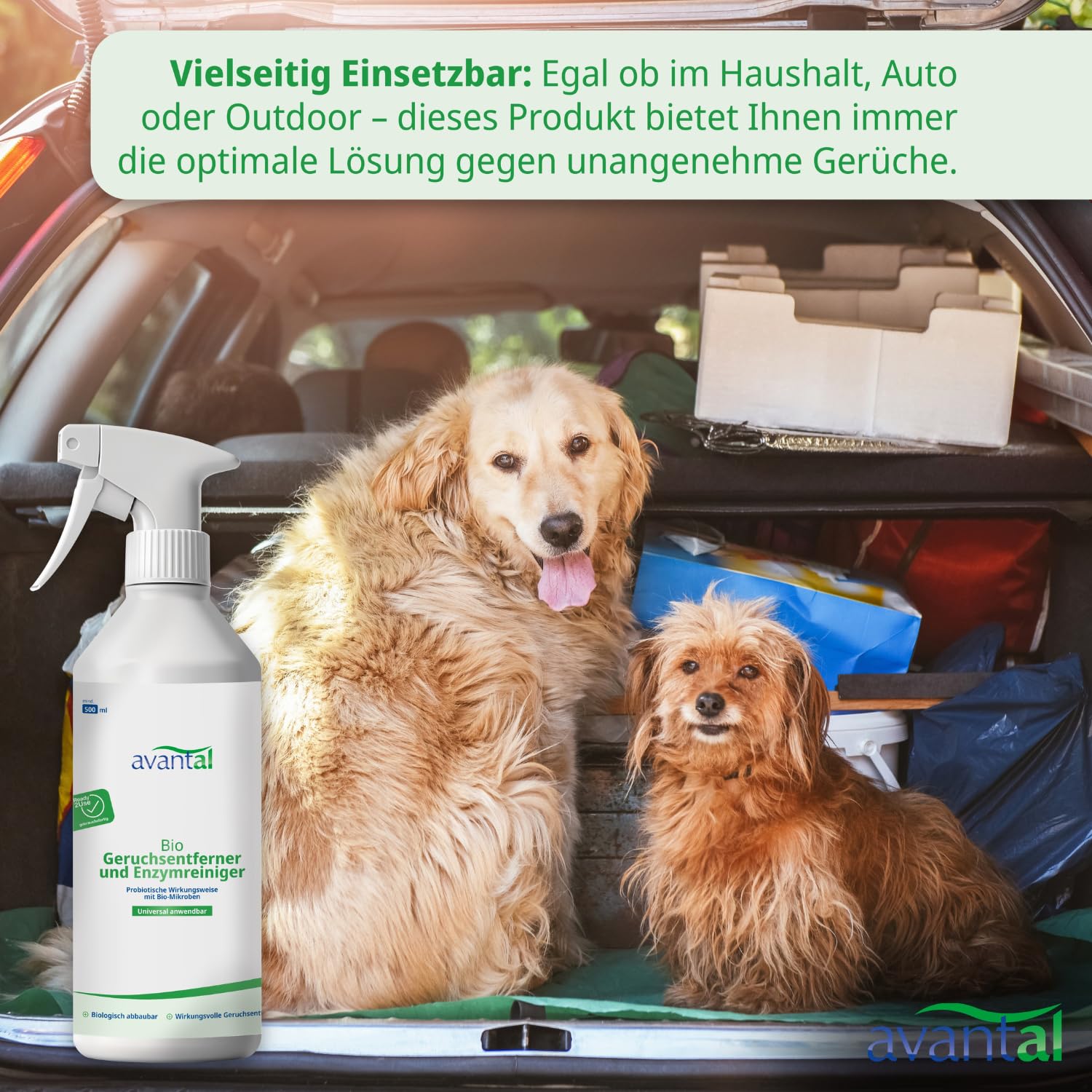 Neutralisateur d'odeurs | puissant désodorisant et nettoyant enzymatique 500 ml – Contre l'urine de chat, spray anti-urine pour chien, contre les odeurs désagréables dans les pièces, les