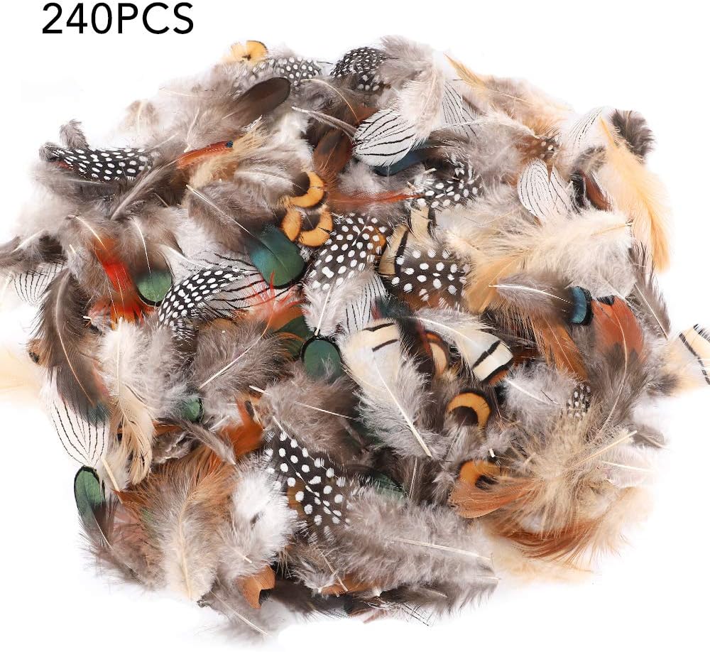 Outuxed 8 Style 240pcs Natural Feathers for Crafts Assorted Mixed Feathers for Dream Catcher