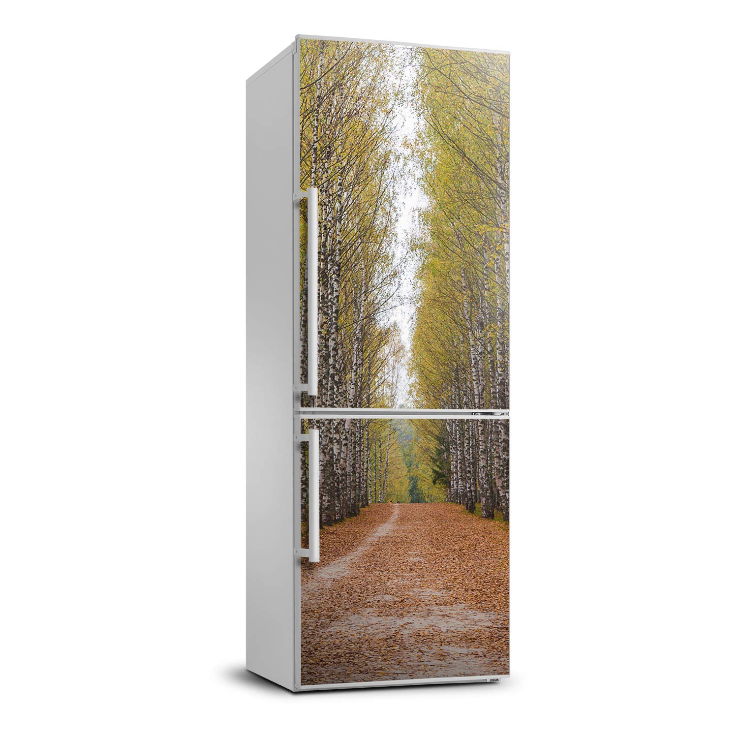 Película autoadhesiva de refrigerador bosque de abedules Tulup decoración cocina 60x180 cm vinilo