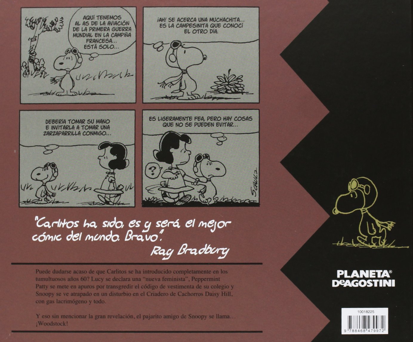 Snoopy y Carlitos 1969-1970 nº 10/25 PDA: 1969 a 1970 (Cómics Clásicos)