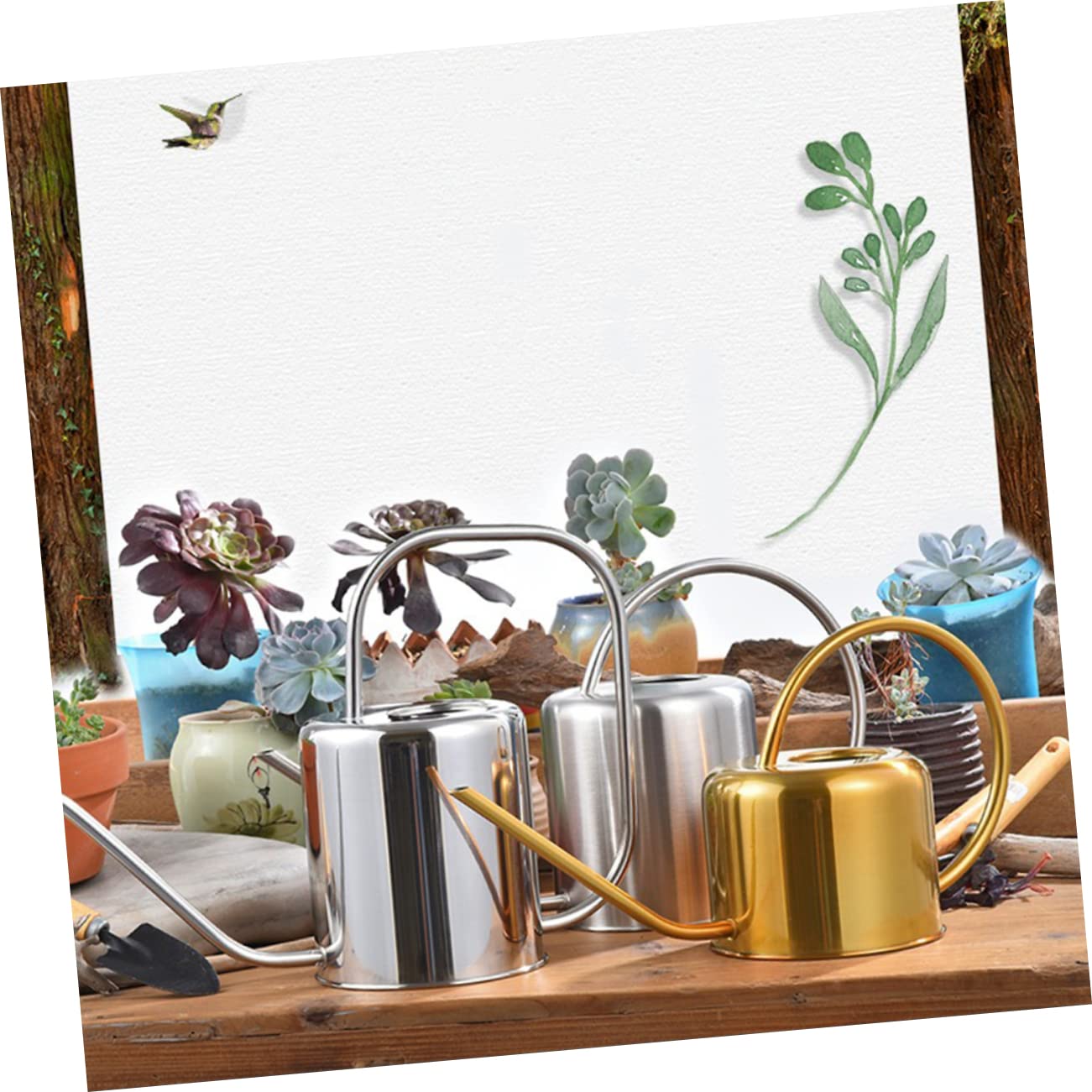 Regaderas for plantas de interior y jardín, con boquilla for riego de plantas de exterior. Elegante regadera de acero inoxidable con boquilla larga for riego de suculentas y plantas de interior.