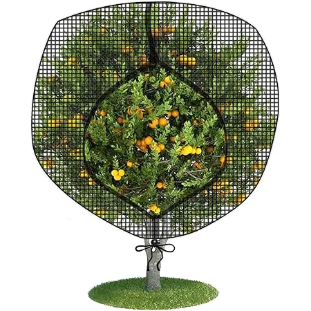 Amazon.com : Fruit Tree Netting Large Fruit Tree Covers with Zipper to ...