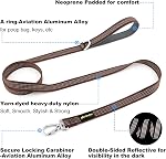 Plutus Pet Heavy Duty Dog Leash with Lockable Aluminum Carabiner, 4/6 Feet Long, Double-Sided Reflective Nylon, Padded Handle, for Puppy, Small, Medium and Large Dogs (Chocolate, 2.0 x 180cm)