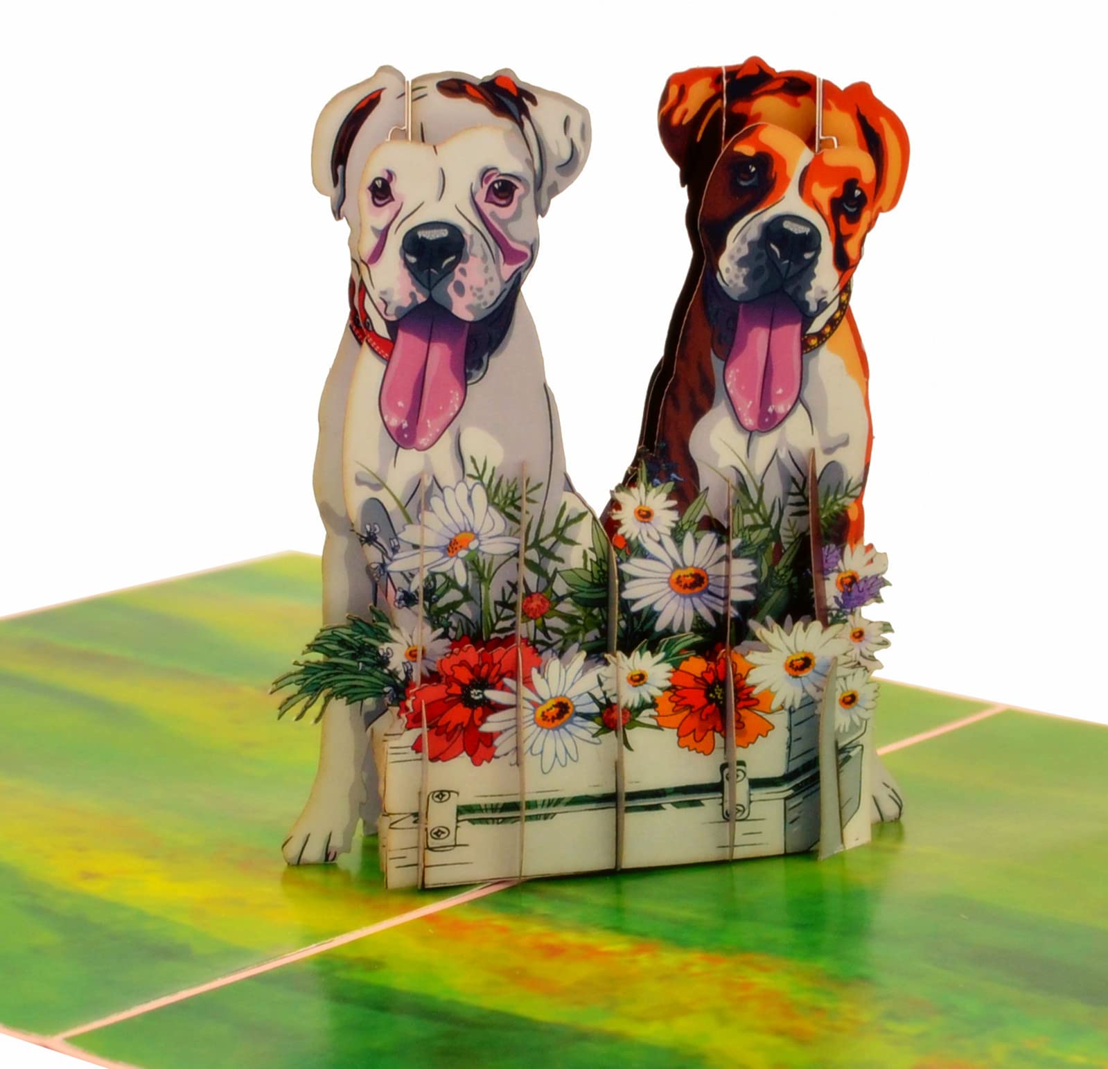 Are Boxers Good Inside Dogs