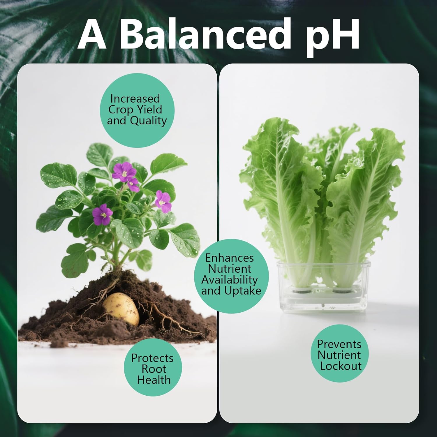 pH Up and Down Control Kit,Adjuster Buffer Solution Combo for Soil Gardening Plants Pool,Balanced Nutrient,pH Down Liquid for Hydroponics,Soil & Aquariums,pH Buffer for pH Stability