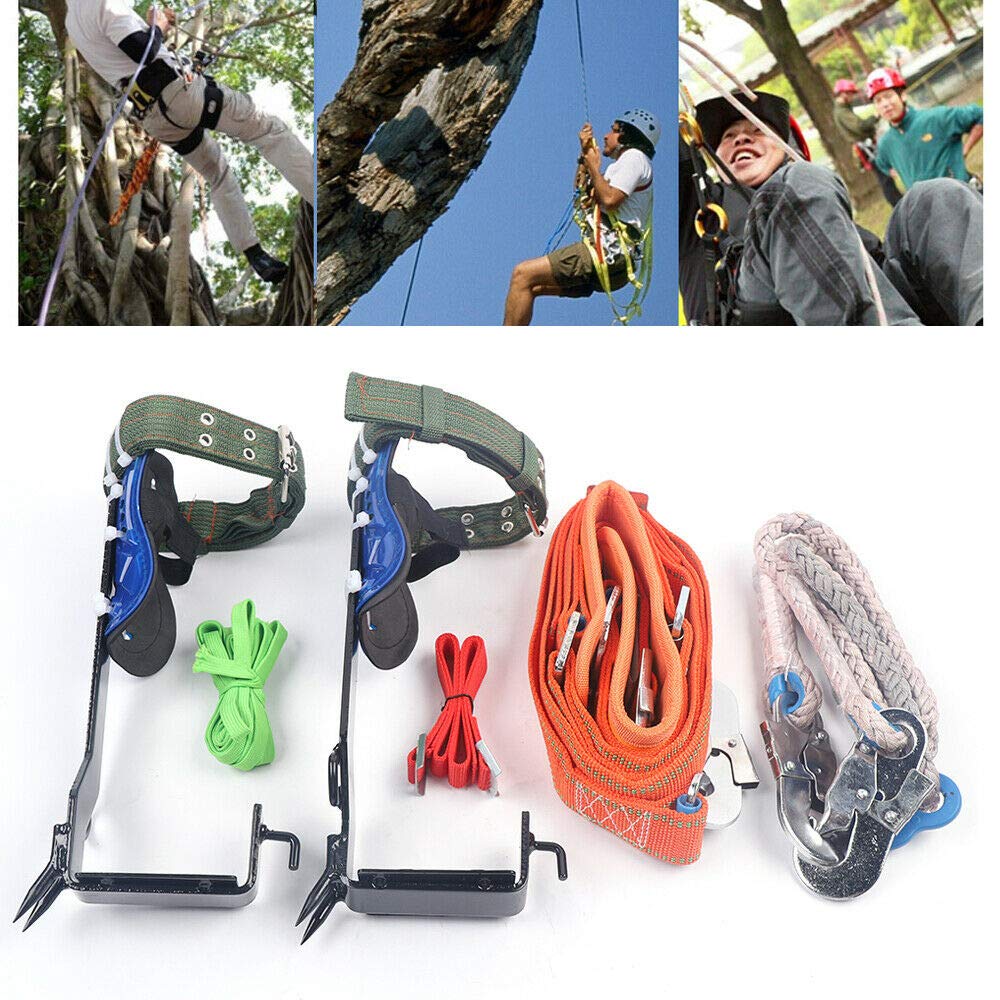 BJTDLLX Tree Climbing Spike Set, Tree Climbing Gear with Safety Adjustable Belt Lanyard Rope Rescue Belt 2 Gears Tree Climbing Spikes for Picking Fruit, Climbing Trees and Outdoor Sports