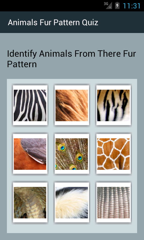 Animals by Fur Pattern Quiz - App on Amazon Appstore