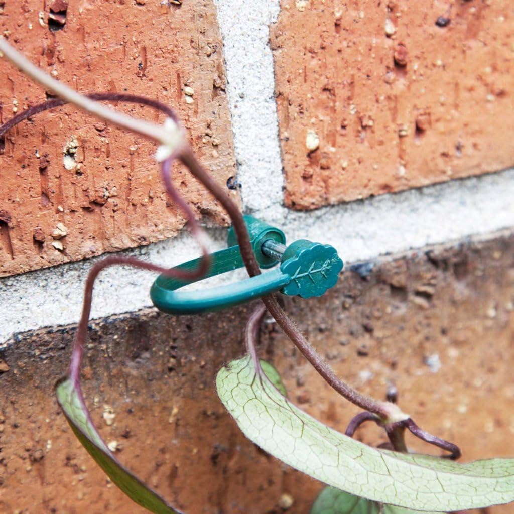 SupaGarden Stem Support Clips