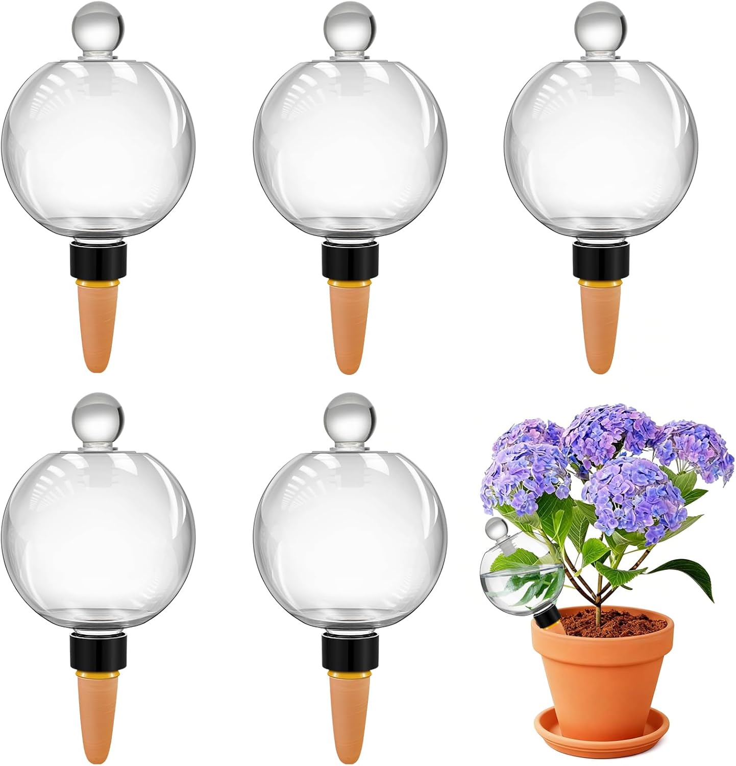 DI QIU REN 6 Pack 19oz Extra Large Self Watering Globes, Automatic Plant Waterer with Glass Stopper - Slow Release Watering Bulbs & Planter Insert, Top-Fill Water Spikes Stakes for Indoor Plants