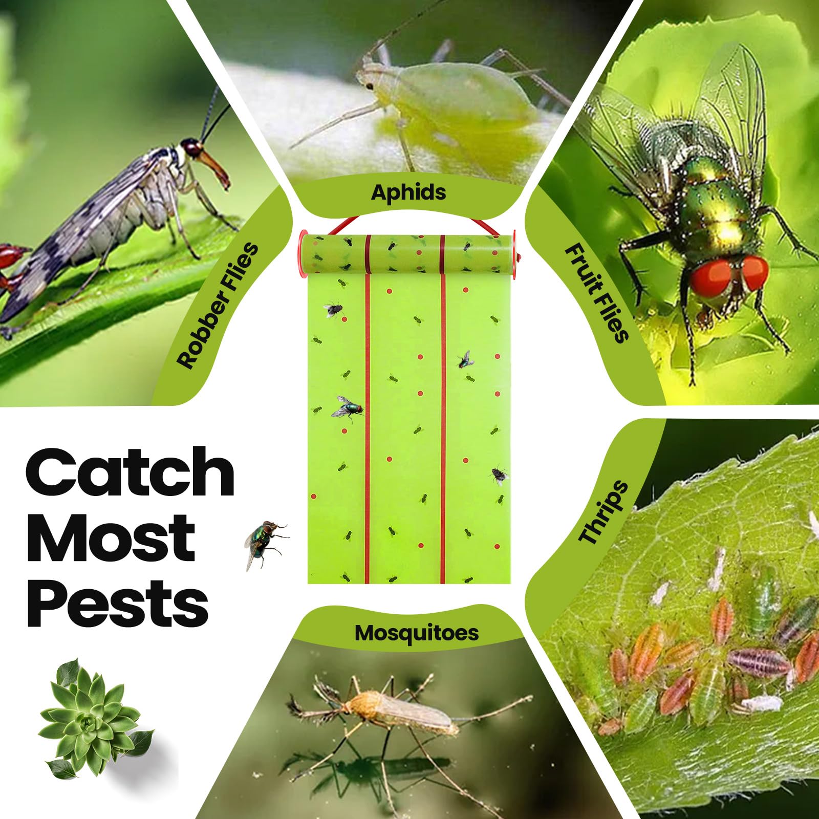 Qualirey - Trappole per mosche giganti, strisce per mosche da appendere per interni ed esterni, nastro atossico, per piante e zanzare, casetta per cavalli (9 m, verde)