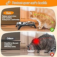 Vista 3 de Tazones elevados para gatos, soporte elevado antivómitos con 2 tazones gruesos de acero inoxidable, antideslizantes, para gatos y cachorros pequeños