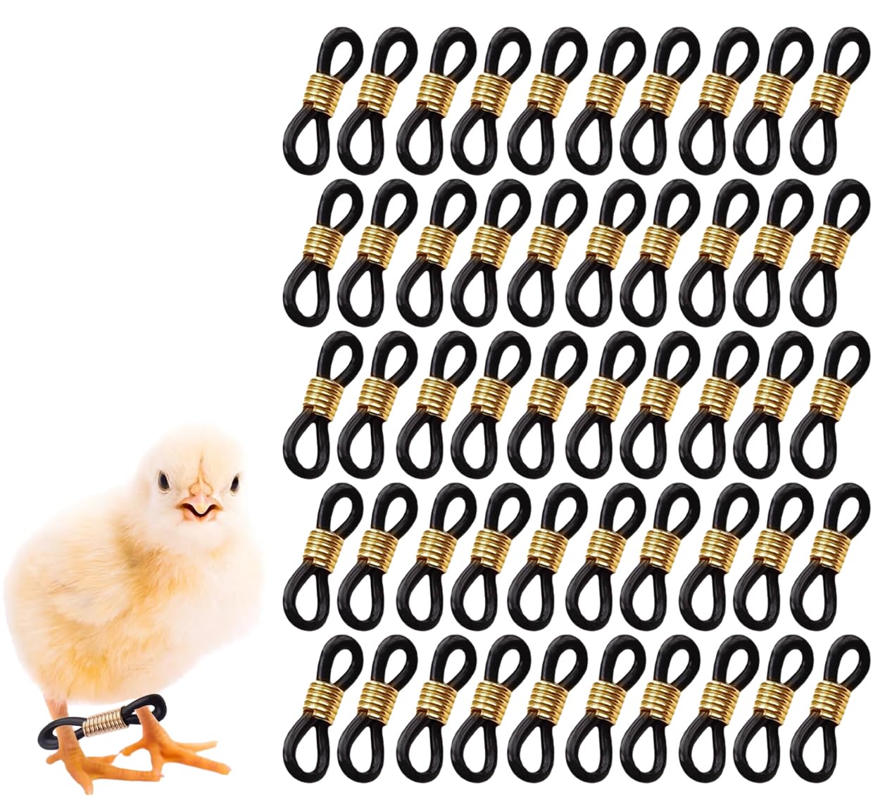 50 Pcs Black Baby Chick Splay Leg Hobble Chicken Leg Bands Adjustable Hobbling Chicken Hobble Braces for Spraddle Leg Repair Poultry Care Supplies for Chick Bird Quails Ducks Newly Hatched