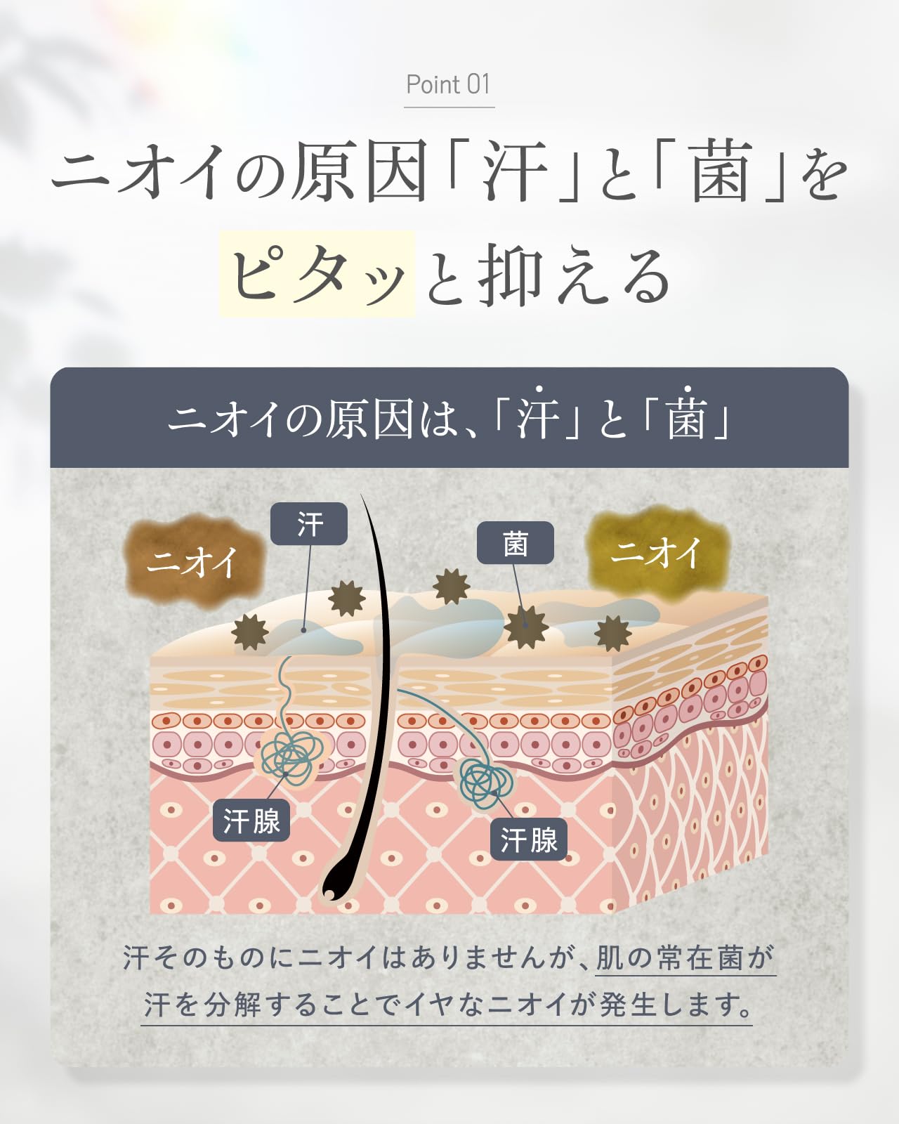 Deodorant Cream デオドラント クリーム （ 30g / 医薬部外品 ） 薬用 制汗剤 脇 足 デオドランド ワキガ わきが 対策 脇汗 塗る メンズ レディース 男性 女性 子供 無香料 (1本) - 4