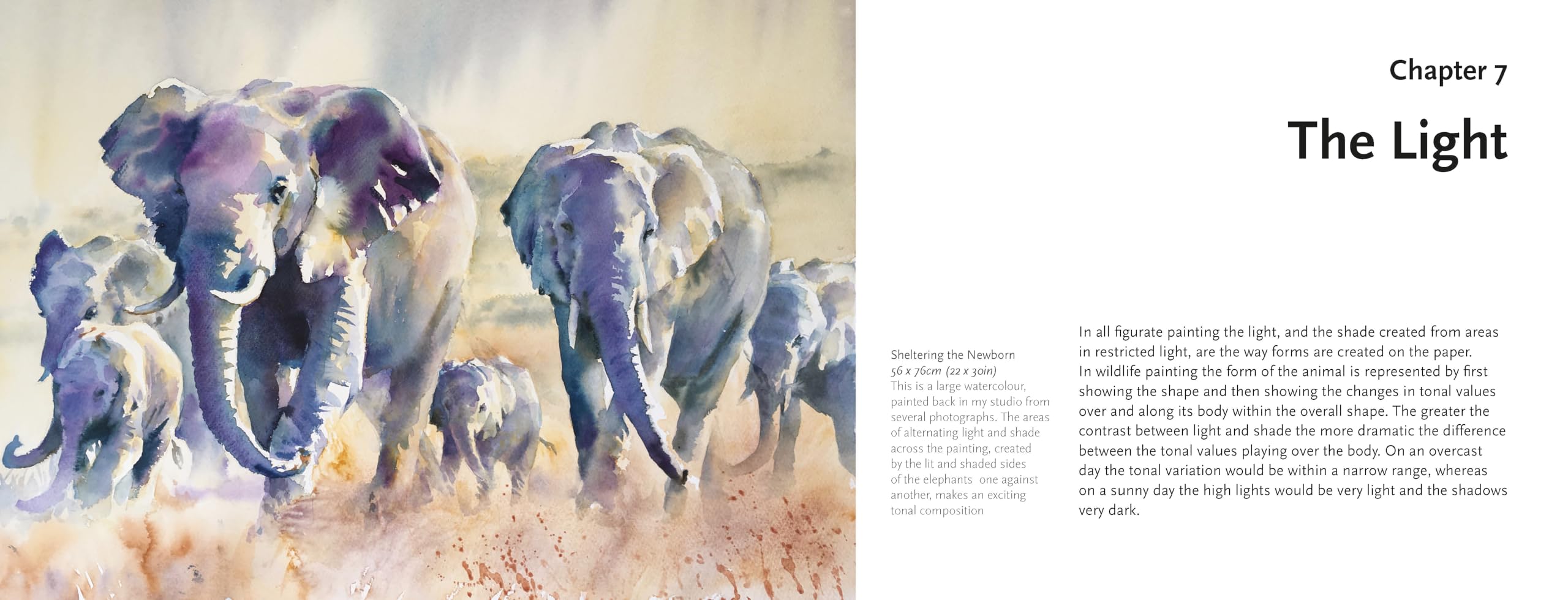 Learn to Paint Wildlife Quickly