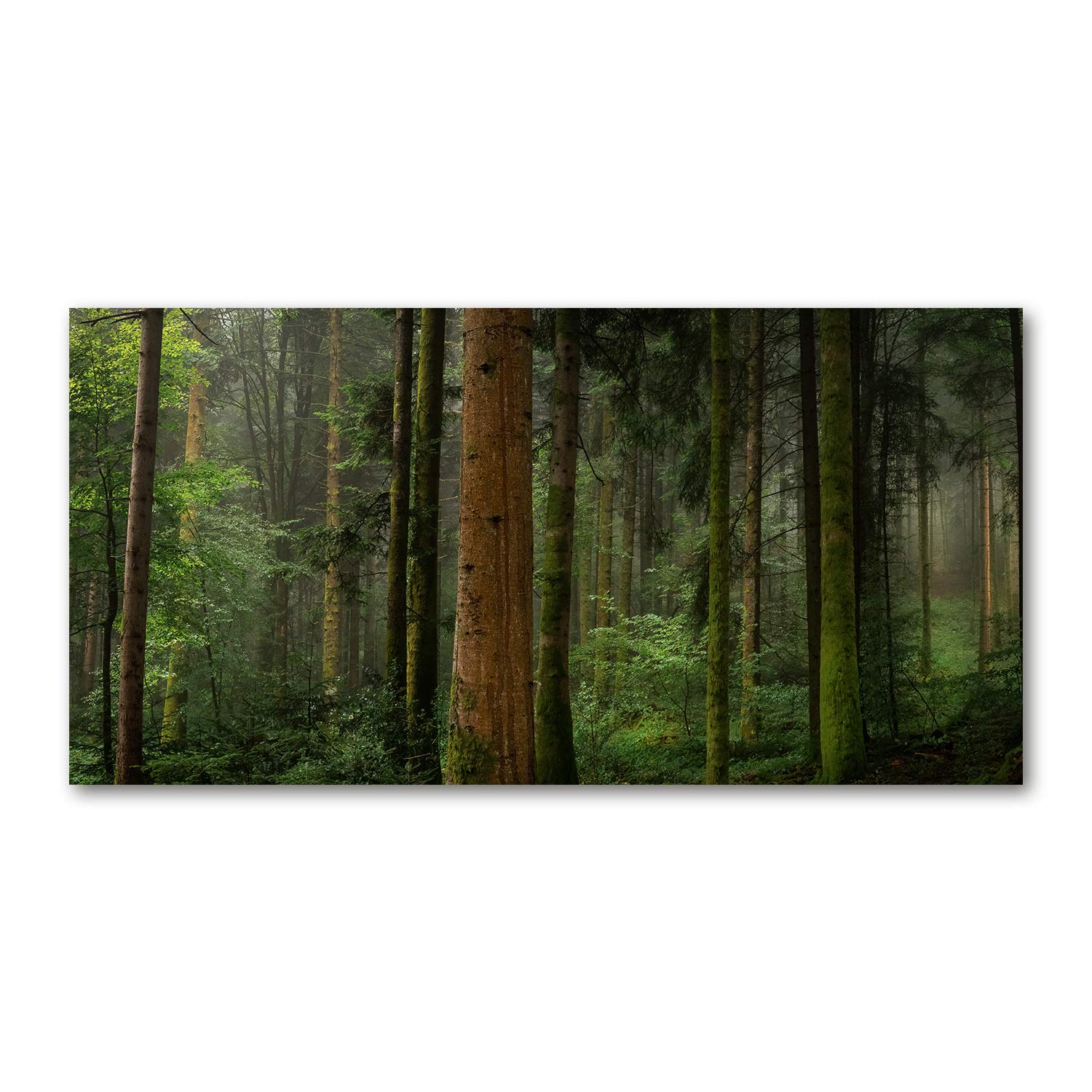 Impression sur verre panoramique forêt verte pour créer une ambiance naturelle et apaisante