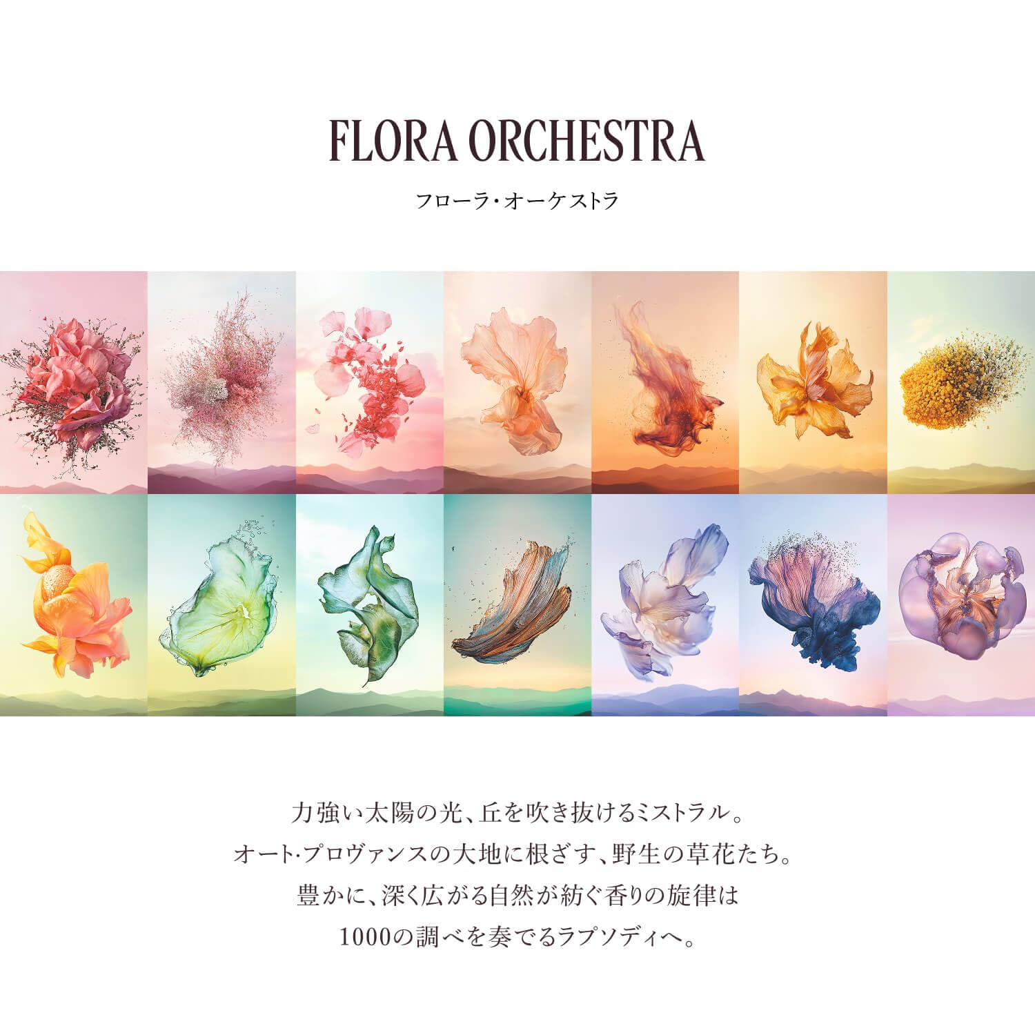 ロクシタン オスマンサス ボディミルクサムネイル6