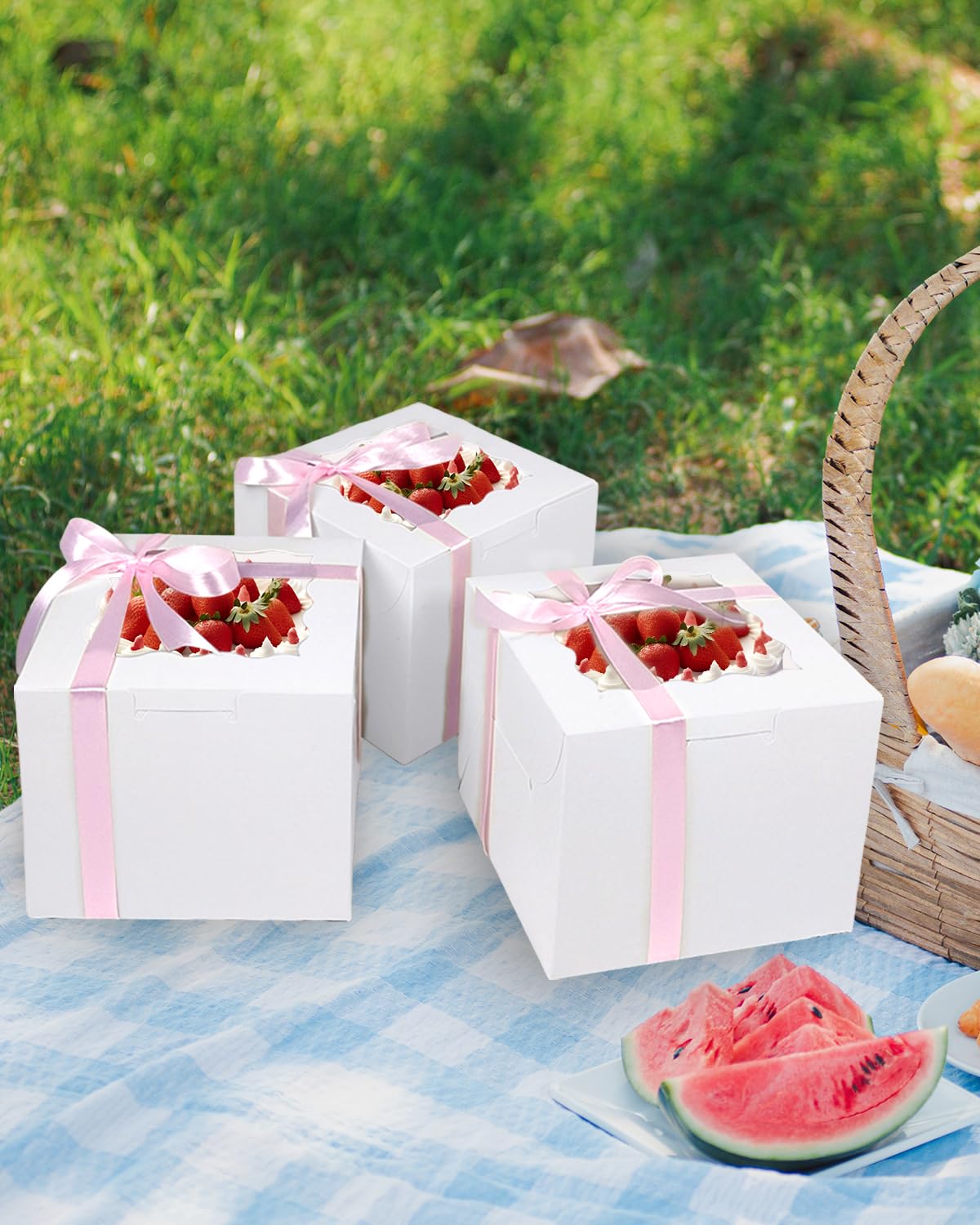 WIYETY 5 stuks taartdoos met taartbord