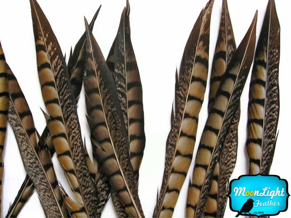 Feathers, Pheasant Feathers, 12-14" Natural Lady Amherst Pheasant Tail Feathers, 10 Pieces