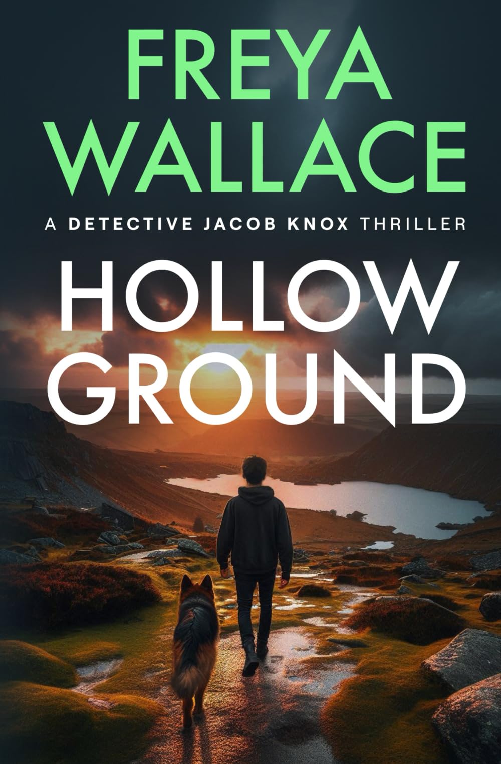 Hollow Ground: A Devon Murder Mystery (Detective Jacob Knox Thriller)