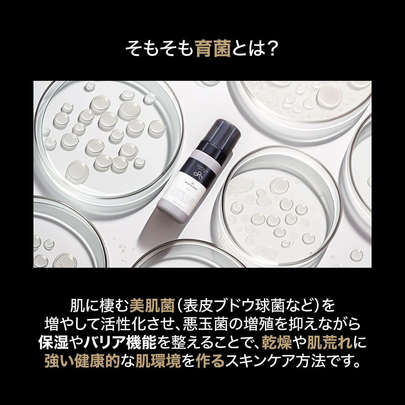 Amazon.co.jp: GORILLA COSMETICS（ゴリラコスメティクス） ギフト