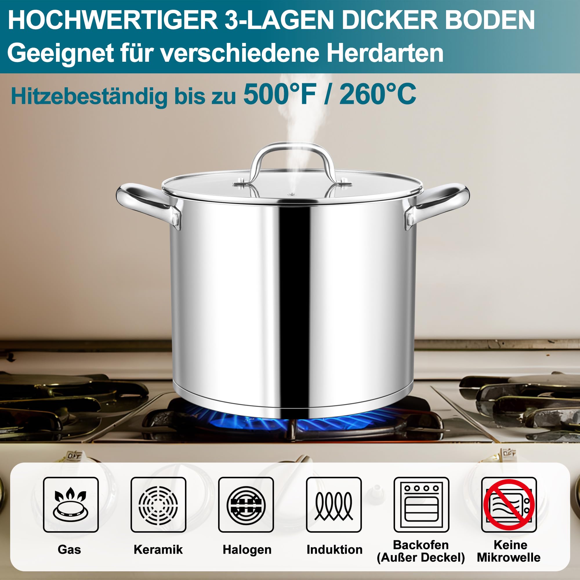 Homikit Olla de acero inoxidable de 9,4 L, para inducción, con tapa de cristal, para sopa, de 3 capas, apta para todo tipo de fuegos, sin revestimiento, altamente pulida y apta para lavavajillas