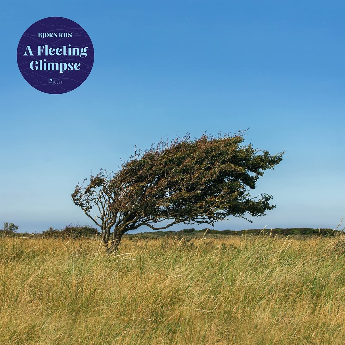 A Fleeting Glimpse (Blue Vinyl) [VINYL]