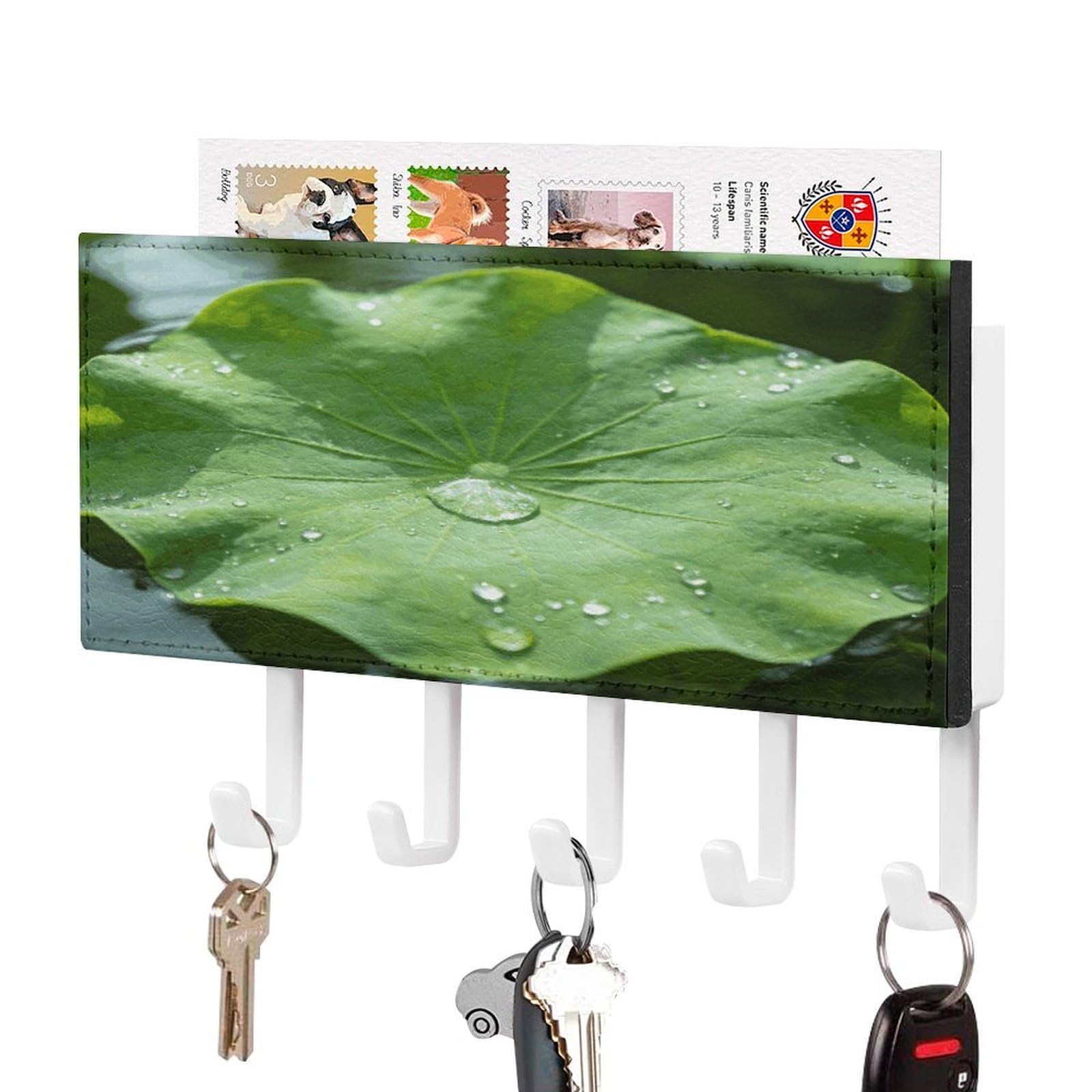 Colgador de llaves de pared verde con cinco ganchos de piel y bandeja de correspondencia