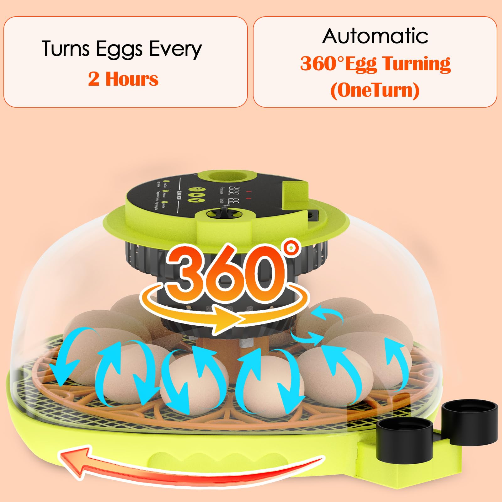 Incubatrice per Uova Automatica, 12 Uova, con Aggiunta Automatica Dell'Acqua, Girauova Automatico, Controllo Temperatura e Umidità, Funzione Speratura , Visuale a 360°, per Galline, Quaglie, Anatre(B)