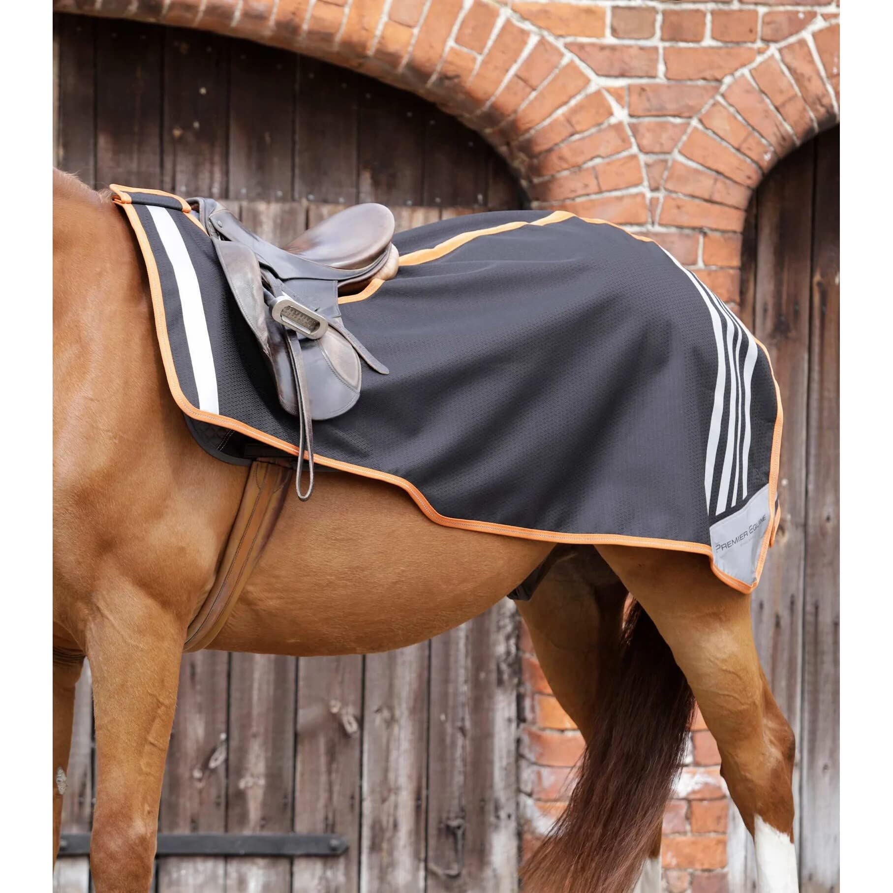 Copertura renale per cavalli Premier Equine Stratus