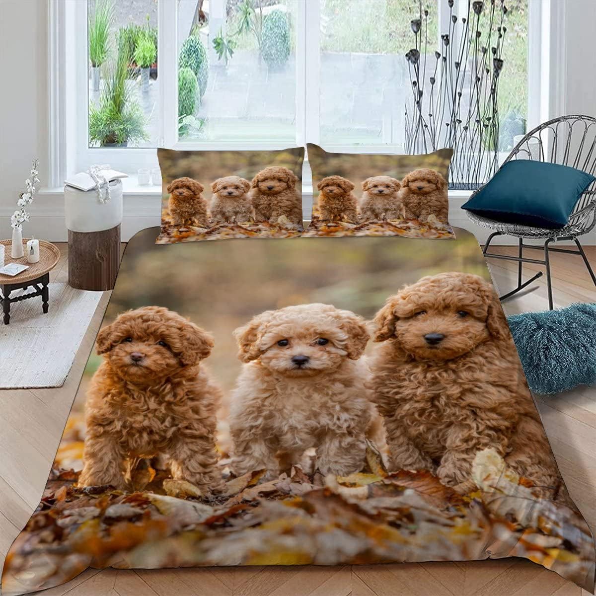 MEVASA Poodle Bedding Set - Microfiber Teen Bedding - Cute Puppy 3D Bedding - Anti Allergic Double Duvet Cover Set with Zipper /200x200