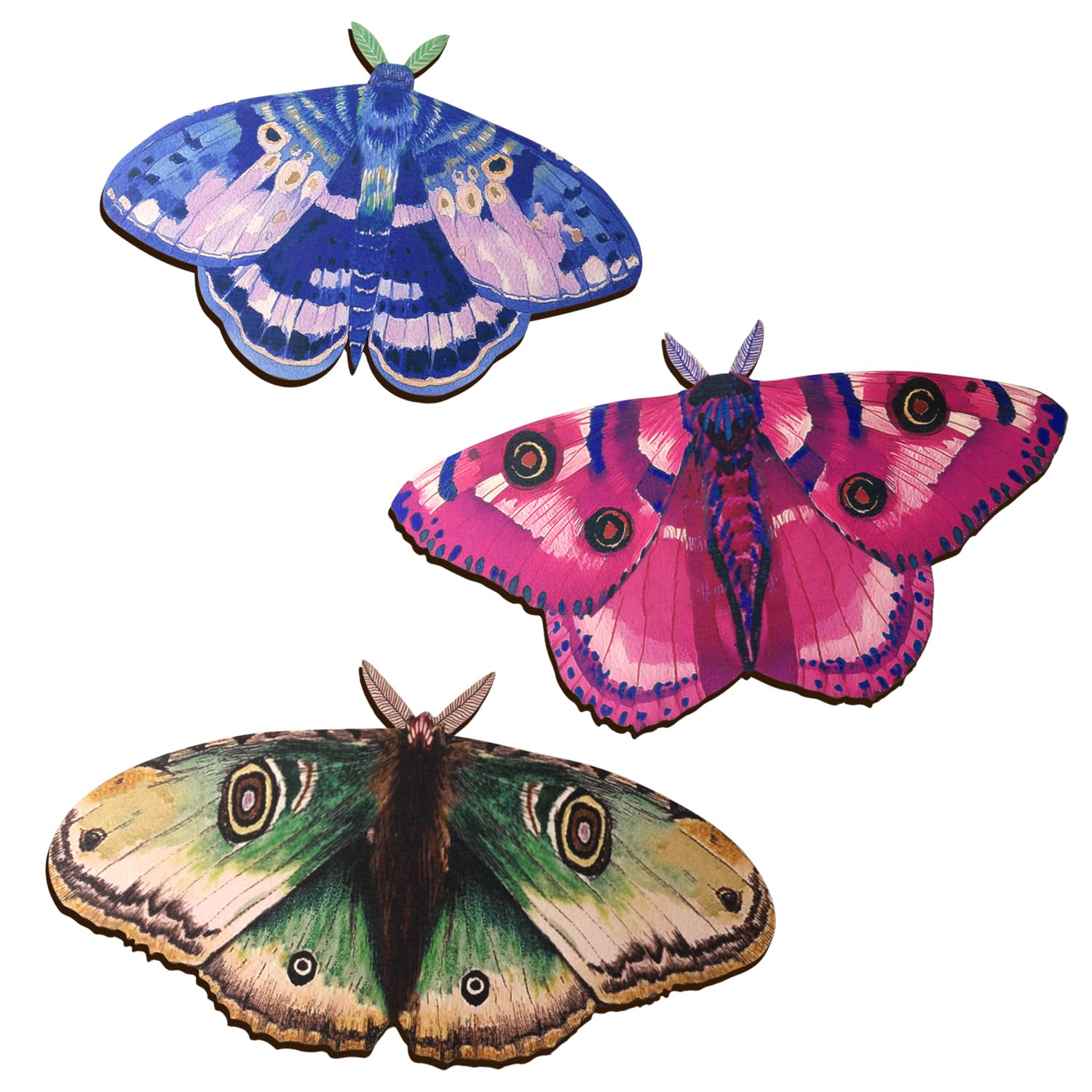 Focal20 Wooden Luna Moth Decor Witchy Wooden Moth Wall Hanging Decor Gothic Wood Moth Wall Art Decoration Vintage Insects Moth Wall Pediments