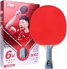 DOUBLE HAPPINESS DHS Ping Pong Table Tennis Paddle,Professional Racket with Carrying Case for Tournament Play
