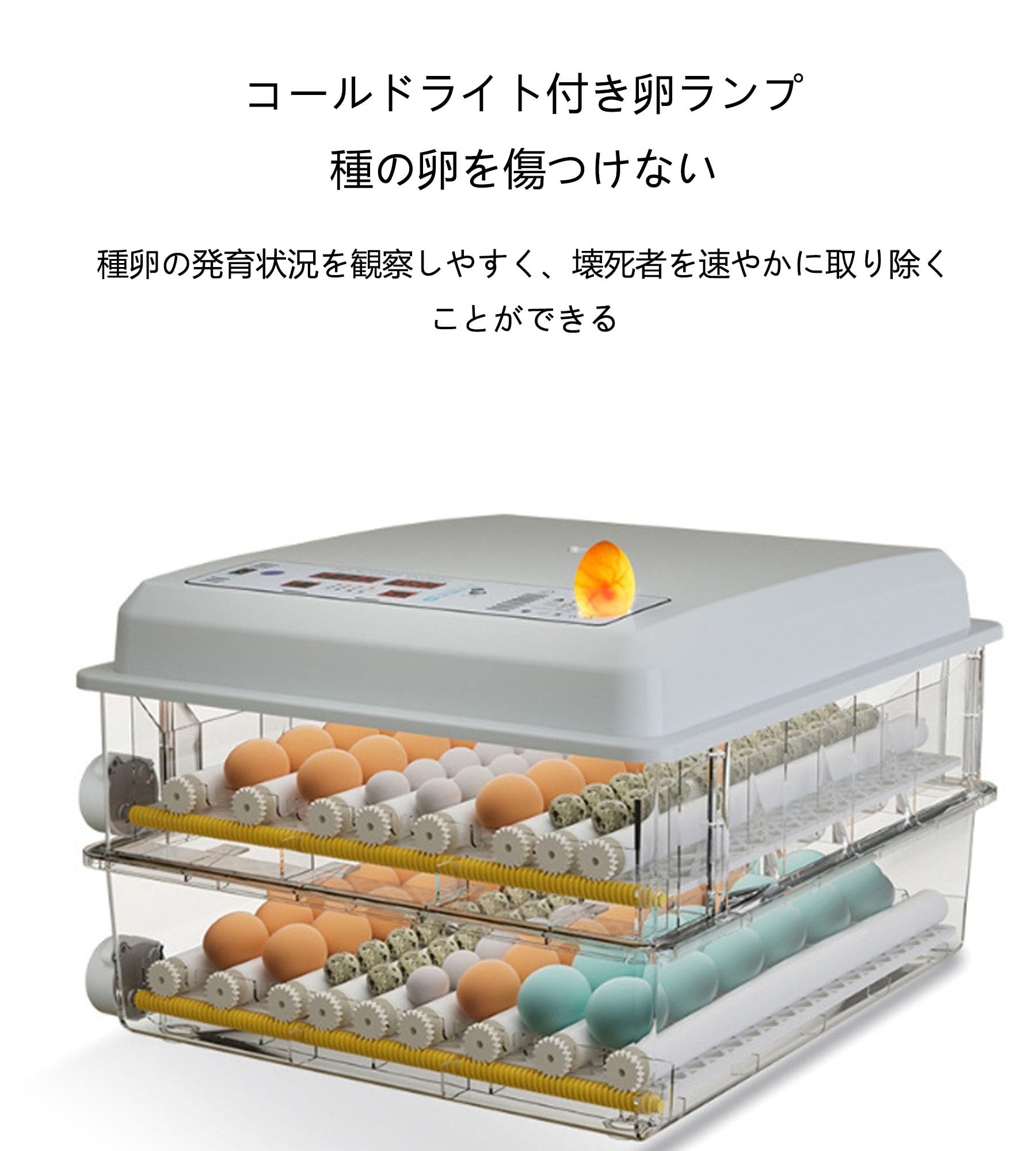 Amazon | 自動孵卵器 うずら孵卵機 自動温度制御孵卵器